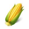 Omskæring